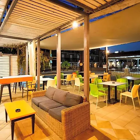 Perkes Complex (adults Only)